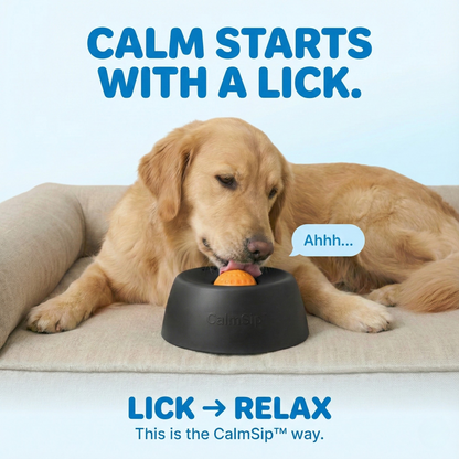 CalmSip™ Lick & Treat Bowl