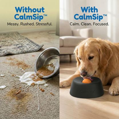 CalmSip™ Lick & Treat Bowl