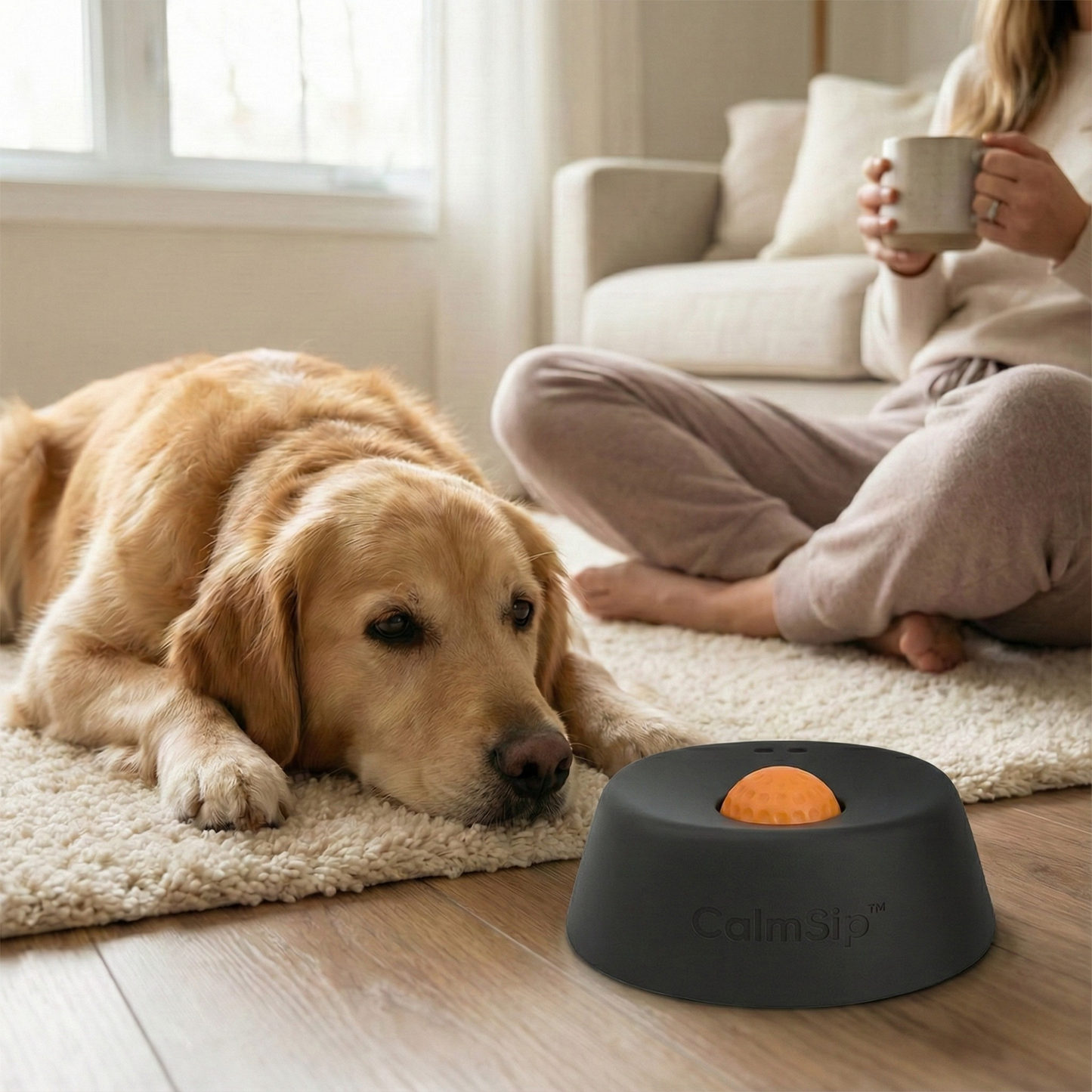 CalmSip™ Lick & Treat Bowl